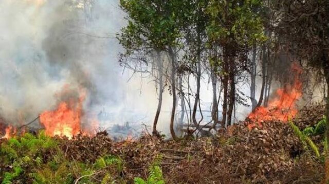 Kebakaran Hutan dan Lahan